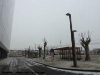 Imagine atasata: Openville - 2017.01.22 - 33.jpg